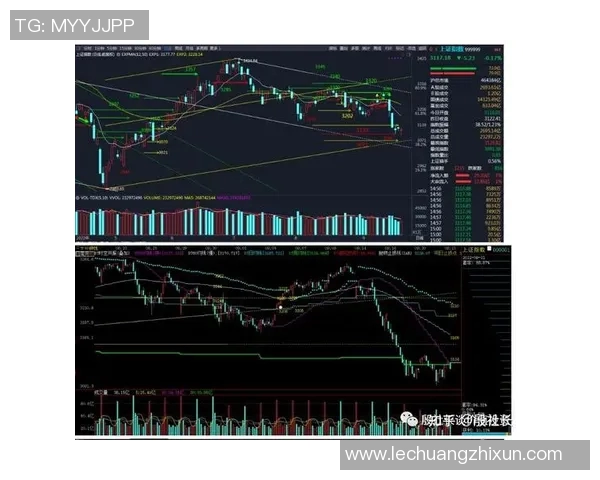 重庆篮球队与深圳篮球队赛后技术分析与战术复盘