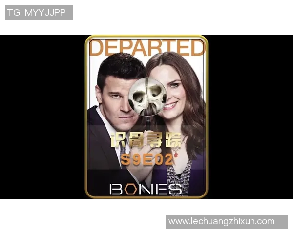 神秘人和山猫推荐的精彩对决揭示了隐藏的真相与智慧选择