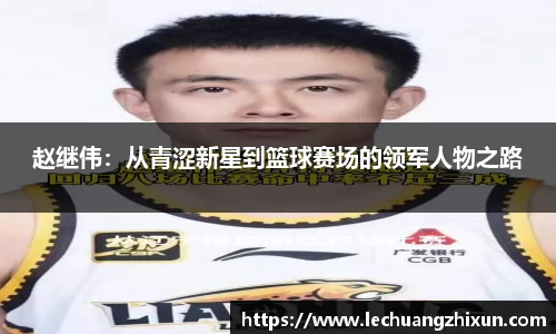 BSports官网入口